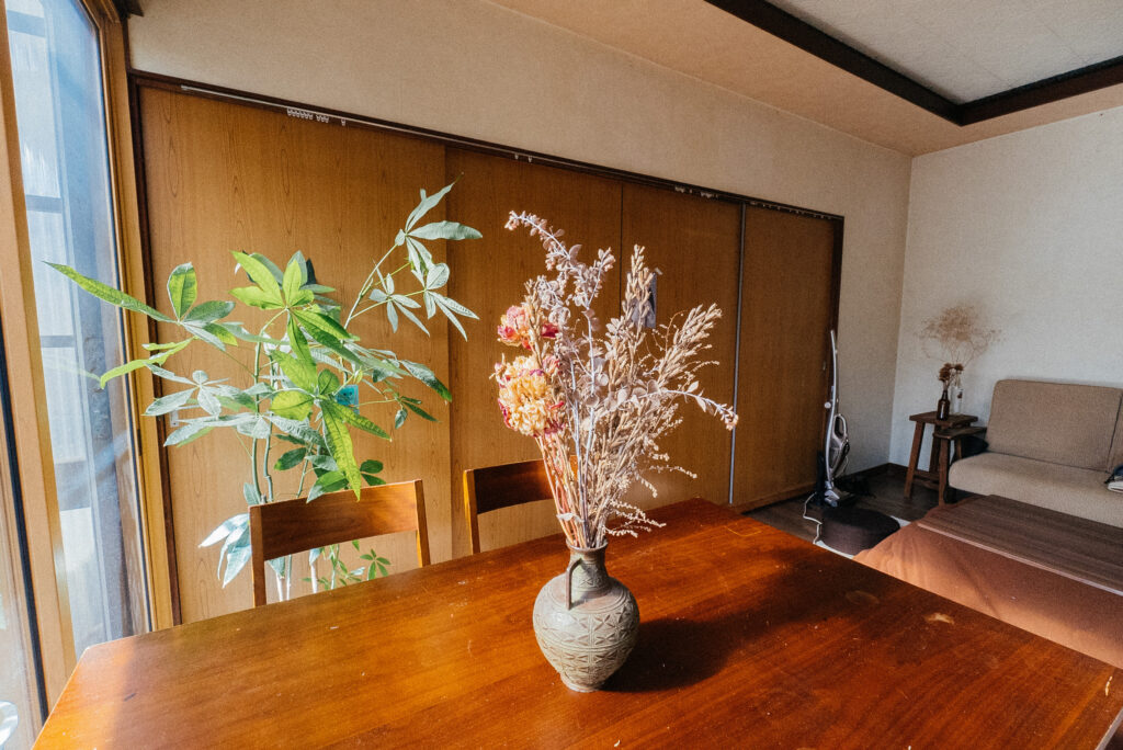 Sunny corner with plants
